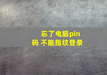 忘了电脑pin码 不能指纹登录